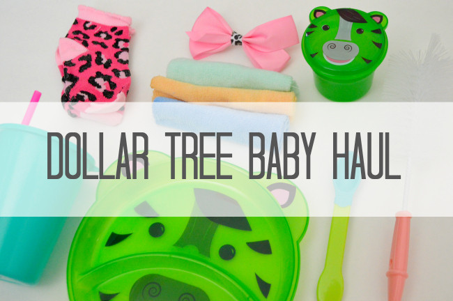 dollar tree baby haul
