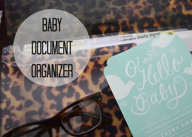 Baby document organizer